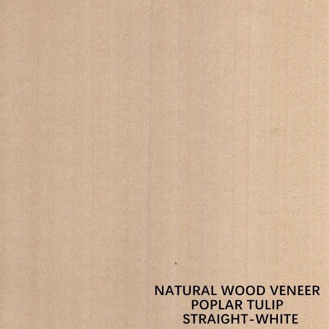 Straight White Color American Natural Poplar Wood Veneer For Fancy Plywood / Door