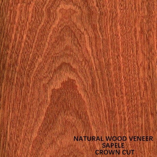 Paneling And Doors Africa Natural Sapele Wood Veneer Flat Cut Crown Grain AAA Grade