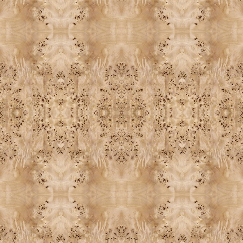Fancy Panel Faced Natural White Poplar Burl Wood Veneer For Hotel Decoration 2440/2745mm Lengthened Size China Supply