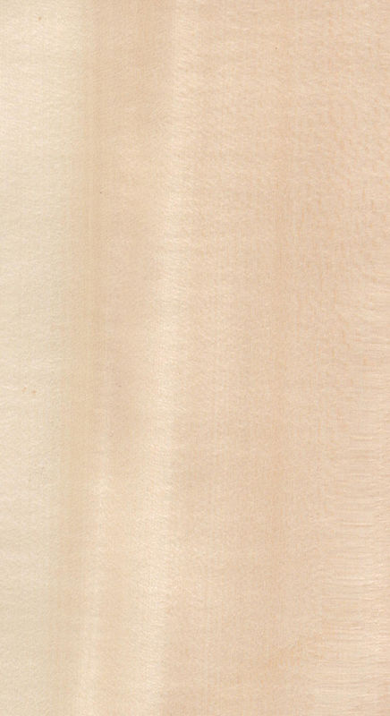 Real Wood Veneer Basswood Slice Cut For Size 13cm Up Flat Cut Straight For Cabinet Face Sheet