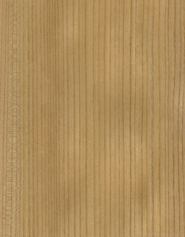 Solid Wood American Elm Sheets Grade A For Quarter Cut Crown Grain Natural Color For Door Face 3200mm Up