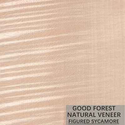 Natural Sycamore Figured Wood Veneer 0.3mm - 0.5mm For Interior Doors