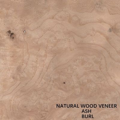 Hotel Natural White Ash Veneer Wood Burl Grain Thickness 0.55mm Good Price For For Hotel Decoration China Wholesale