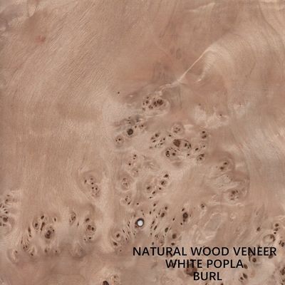 Europe Natural Poplar Wood Veneer Mapa Burl Grain High Quality Thickness 0.5mm For Musical Instrument