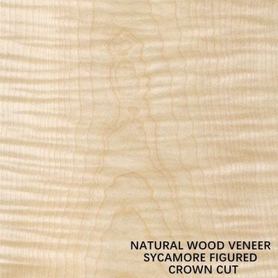 Europe Natural Figured Sycamore Wood Veneer Flat Cut Crown Cut Thickness 0.5mm For Dying And Cabinet