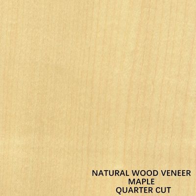 American Natural Maple Wood Veneer Quarter Cut Thickness 0.5mm Good Quality For Furniture And Musical Instrument