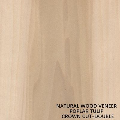 Double Color American Natural Poplar Wood Veneer Flat Cut Crown For Fancy Plywood