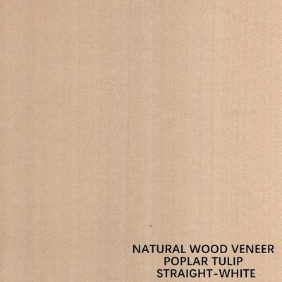 Straight White Color American Natural Poplar Wood Veneer For Fancy Plywood / Door
