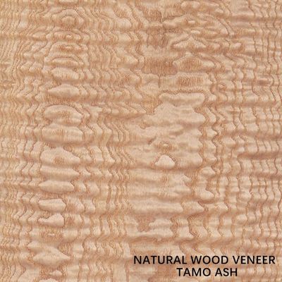 0.5mm Thickness Natural Tamo Ash Veneer For Car Interior And Musical Instrument