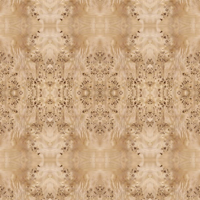 Fancy Panel Faced Natural White Poplar Burl Wood Veneer For Hotel Decoration 2440/2745mm Lengthened Size China Supply