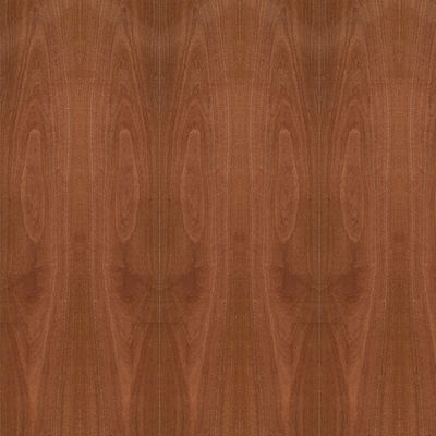 Fancy Plywood Natural Sapele Wood Veneer Crown Grain 5 / 9 / 12 / 15 / 18 / 25 / 30mm