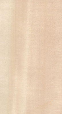 Real Wood Veneer Basswood Slice Cut For Size 13cm Up Flat Cut Straight For Cabinet Face Sheet