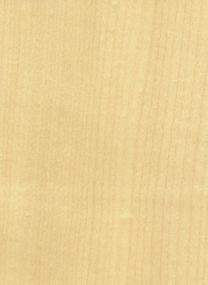 Add Elegance To Space Maple Veneer Panels Flocculent Shadows Texture Manifestations